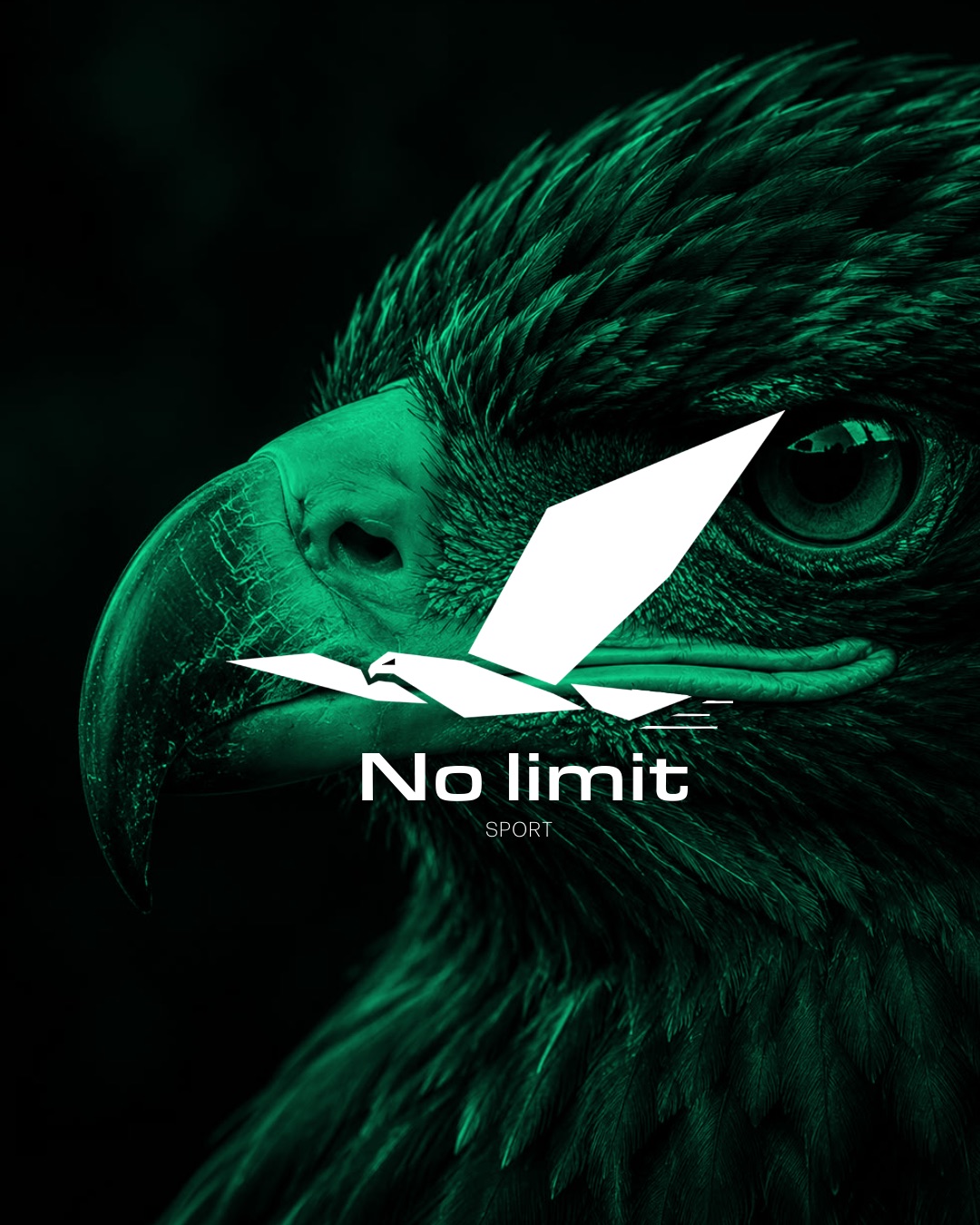 No Limit - vue principale
